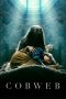Cobweb (2023)